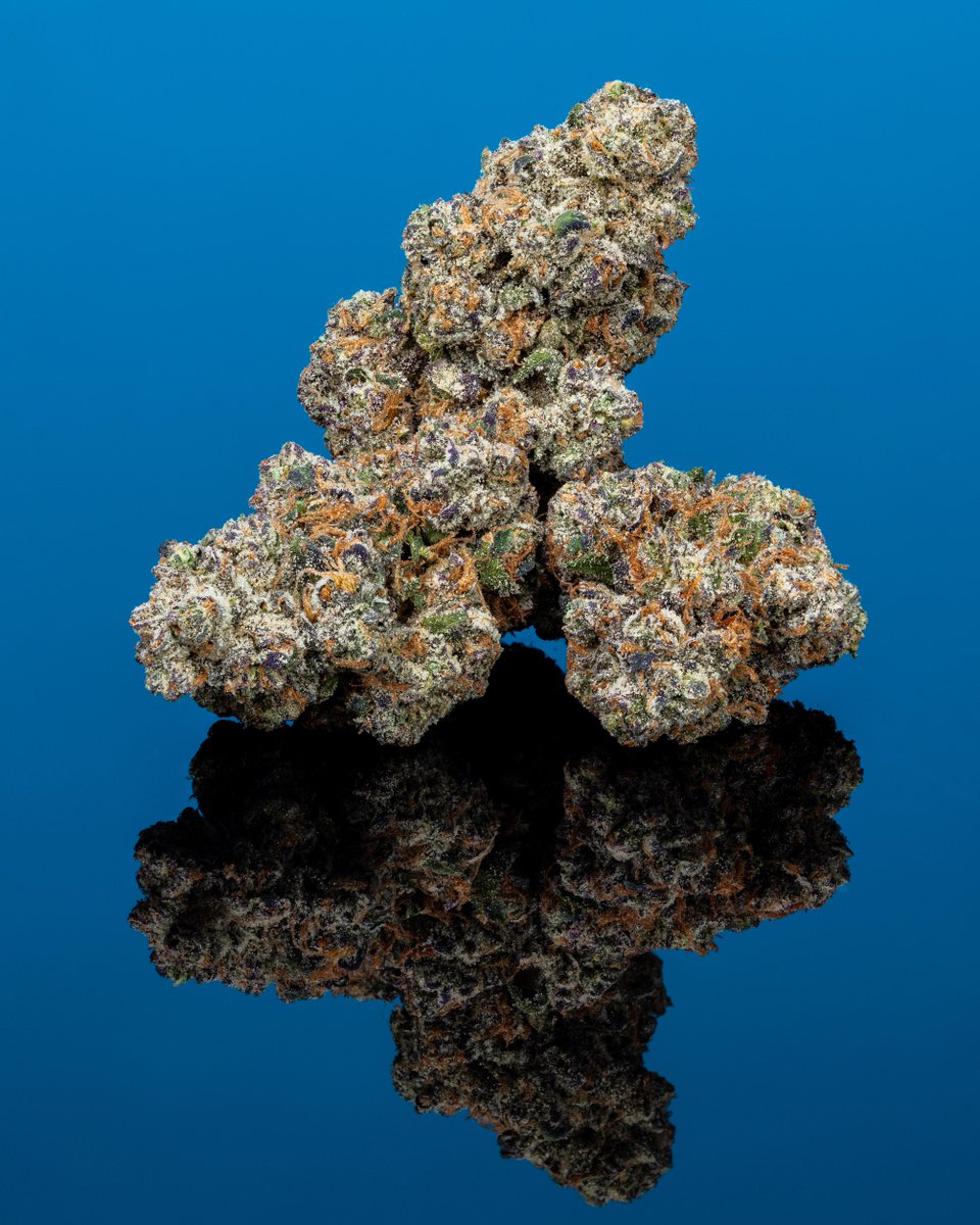 cookiesglobal's tweet photo. { Peee - Yewww! } Animal Face x Kush Mints 🔥🔥🔥 @thesmokersclub @jonnyshipes https://t.co/YTLzOmNT0u
