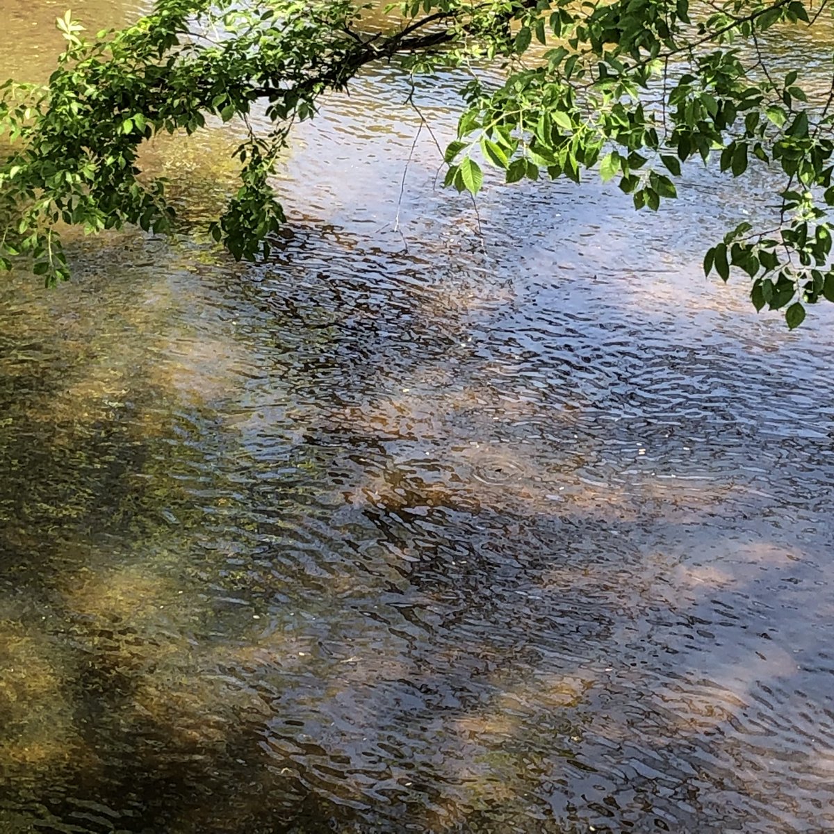 annglech's tweet image. It’s been a fun month.  #MayPatternChallenge