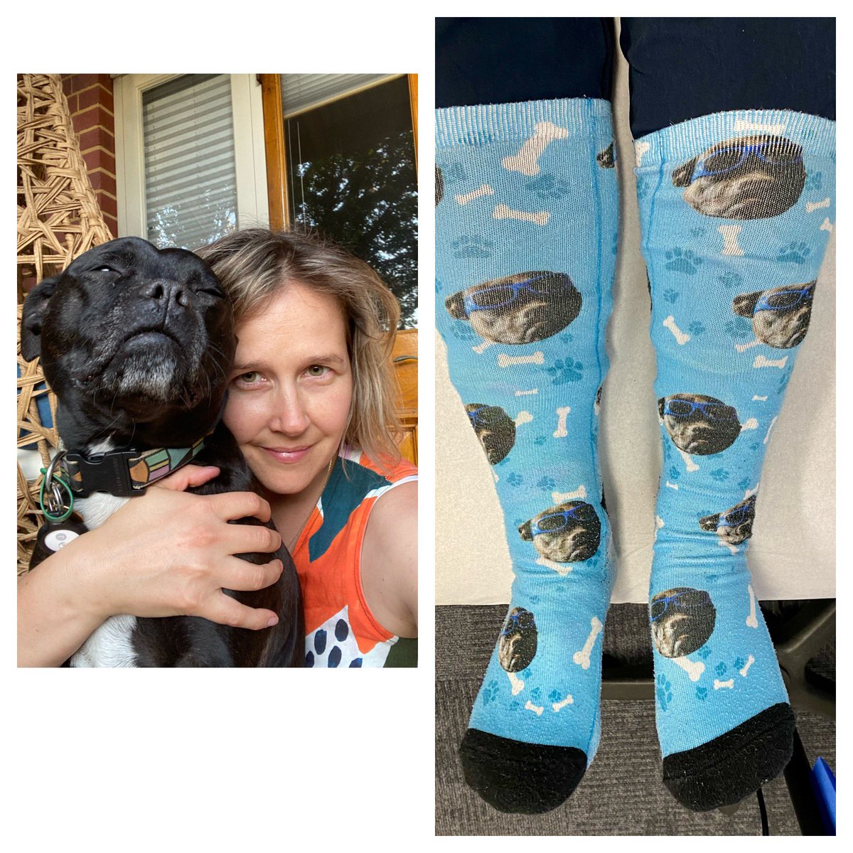 <a href="/cal_kat/">Katrina Calvert she/her</a> <a href="/DHAS_WA/">DHAS (WA)</a> <a href="/ranzcogwellness/">RANZCOG WELLBEING</a> How good are dogs! I think we used the same company for our #crazysocks4docs <a href="/DHAS_WA/">DHAS (WA)</a> <a href="/crazysocks4Docs/">crazysocks4docs</a> the best therapists- Juno and me 🐶 #doctors