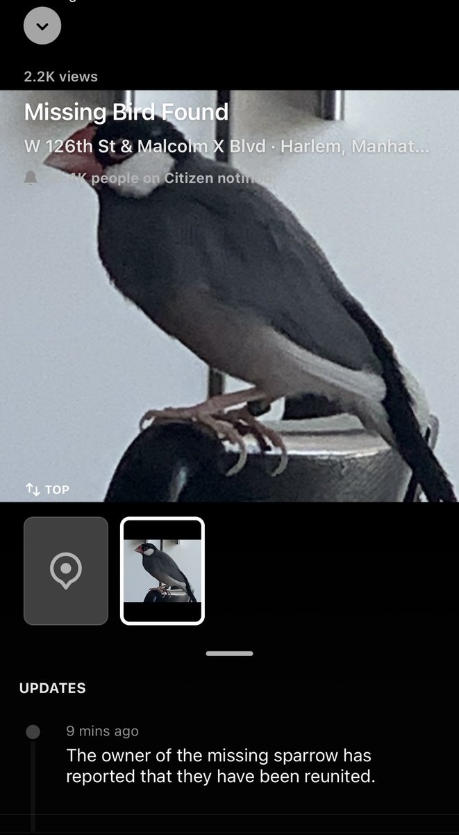This is the only reason I keep this stupid citizen app