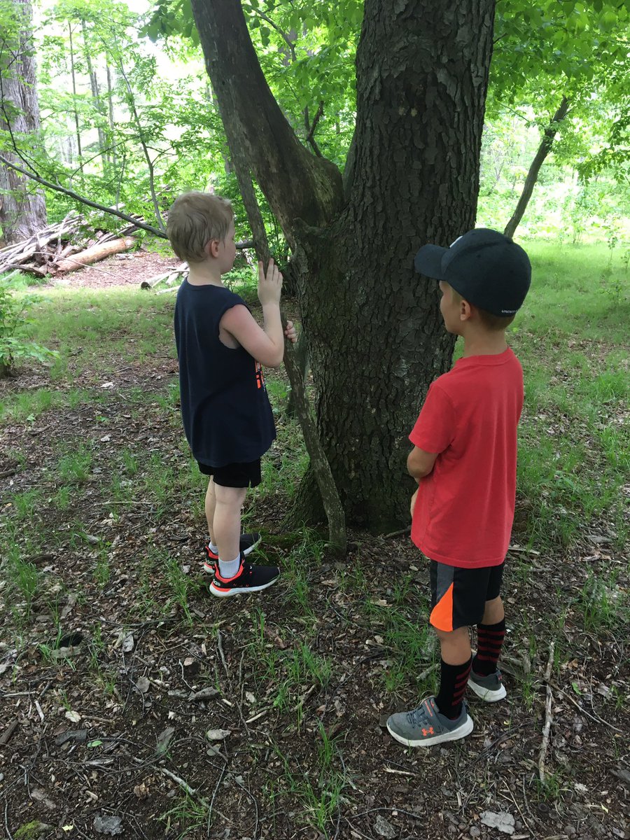 We used our senses today to observe nature at Cummings Nature Center! Thank you <a href="/rocRMSC/">Rochester Museum & Science Center</a> and our fabulous leaders. First grade had a wonderful day! #naplescsd