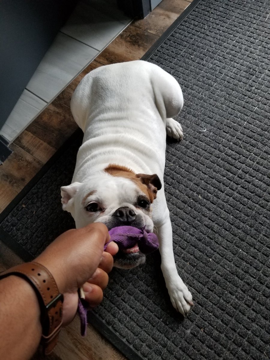 Magic Jawnson tweet media