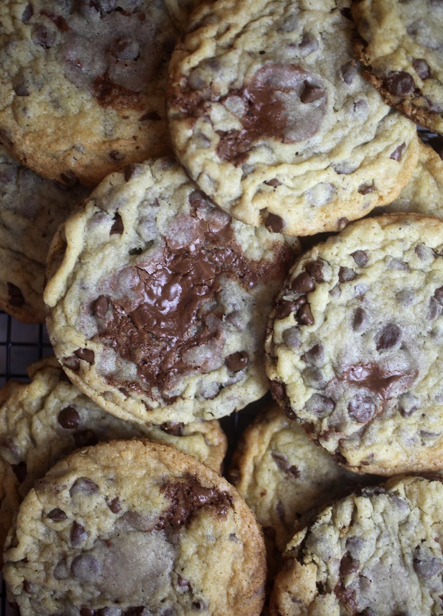 BakedByJenelle's tweet photo. Milk Chocolate Chip Truffle Cookies https://t.co/Wz9RyEe541 https://t.co/3tOhcrZKp1
