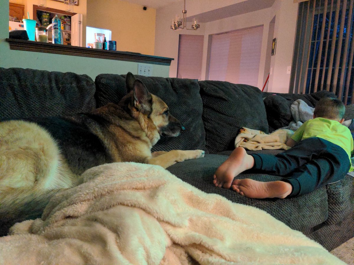 RyangsamsPS4's tweet photo. @MrKdub Now evolved with a different pup and random kid https://t.co/HPpMa5fwqO