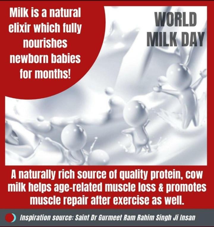 Wine & cocktail parties are common these days.But Saint Gurmeet Ram Rahim Ji  motivates everyone to celebrate their special occasions with CowMilkParty as cow milk🥛is a good source of protein, calcium,as well as nutrients including vitamin B12 .
#WorldMilkDay 
#WorldMilkDay2022