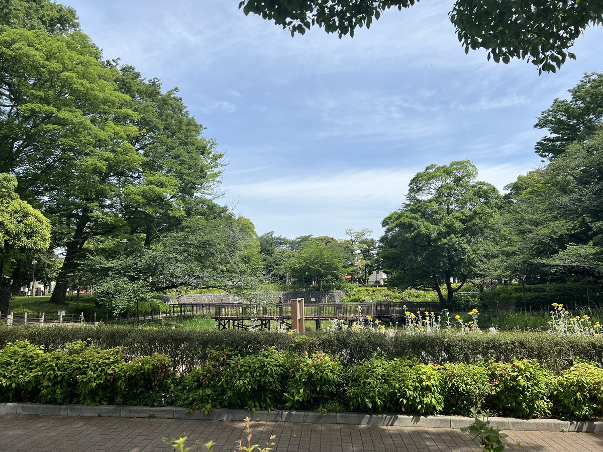 おはようございます 朝から快晴で 過ごしやすいですね 紫陽花がしっかりと色付いて綺麗です 紫陽花の色は種の種類ではなく 土壌の酸性度によって決まりますよ 紫陽花 文庫の森 品川区 品川区民ニュース