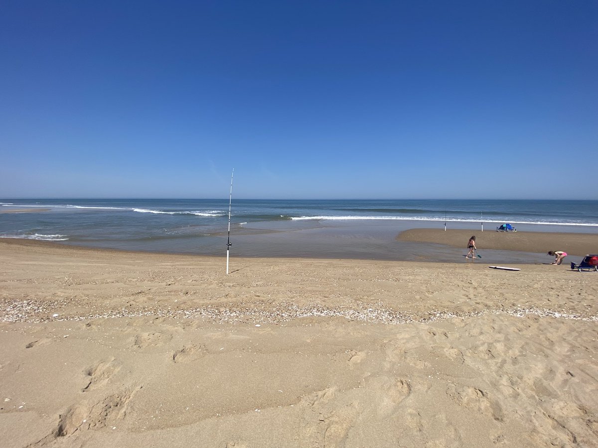 msc7426's tweet photo. Beach livin #dirtymax #delaware #302 #surffishing https://t.co/lpGBBTyzNY