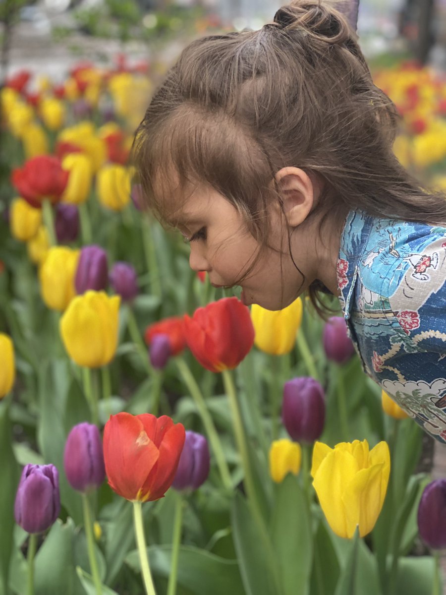 radio_roze's tweet photo. Take a break.
Sometimes you need to stop and eat the tulips. π·
#NFDad
#Chicago https://t.co/H414xNDVA6