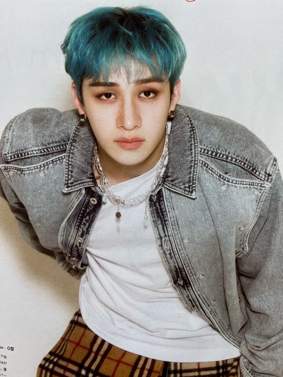 THE BANG CHAN
