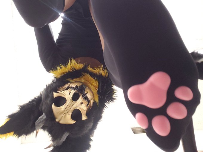 Are your friends nearby? I cant wait to meet them~

 #murrsuit #furrynsfw #toebeans #sockings #gay https://t