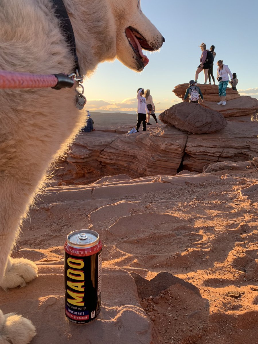 drinkMADO's tweet photo. Nothing beats good friends, a good dog, and good times with @drinkMADO #summervacation https://t.co/bvrnGgGCQ2