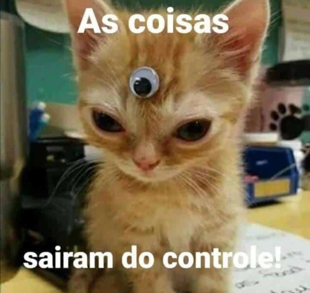 IRONL4DNATE2's tweet photo. Ressuscitaram o grupo do nada https://t.co/BdlTzEs7zD