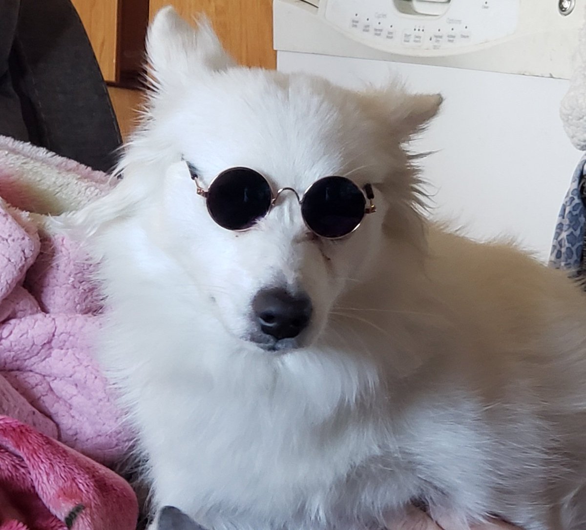 🎶Summer time summer time sum sum summer time summer tiiiiime🎶