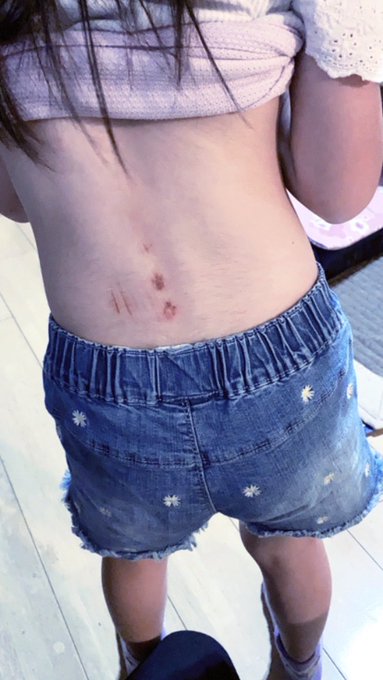 ノアのTwitter画像23