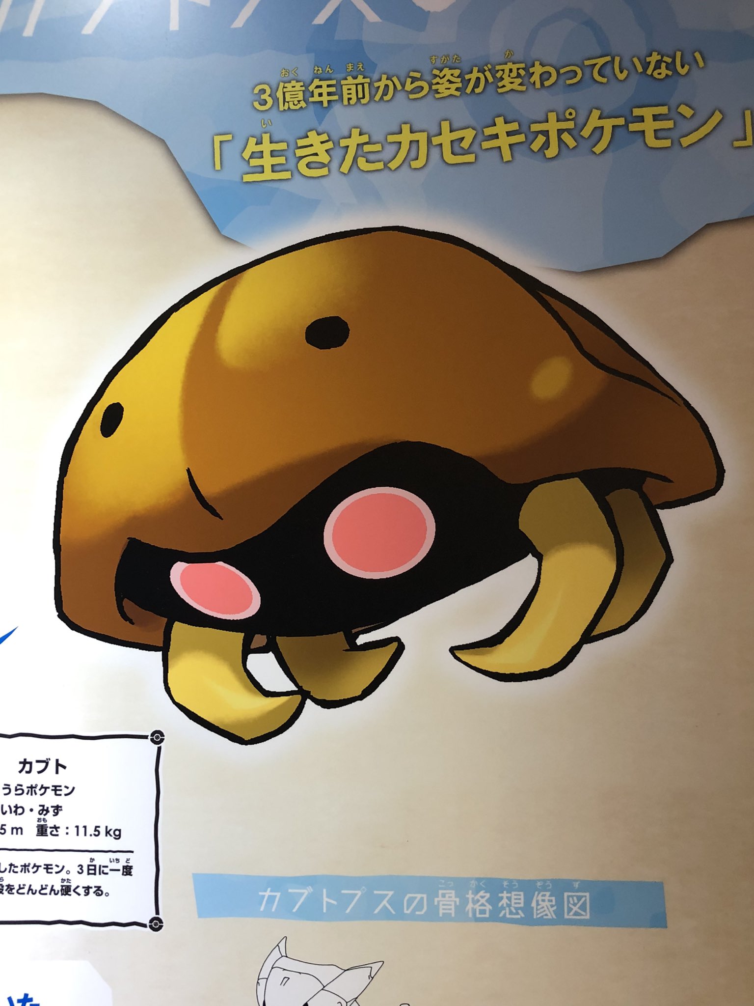 フレイル カブトの目って4つあるんだ 元ネタのカブトガニは5つ T Co 2zl6nw2bue Twitter