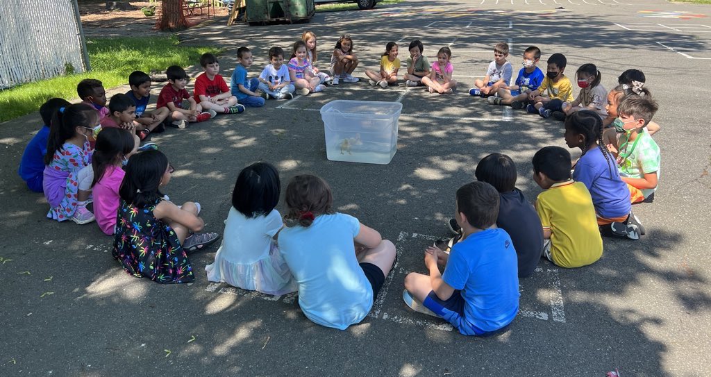 JaimeStrumeier's tweet photo. Perfect day for a swim session! Meet Rex and Little Quack, our new best friends 🐥🐥 @DoctorGemellaro @CollinsElemSch @LivSchools https://t.co/SOc80QFZij