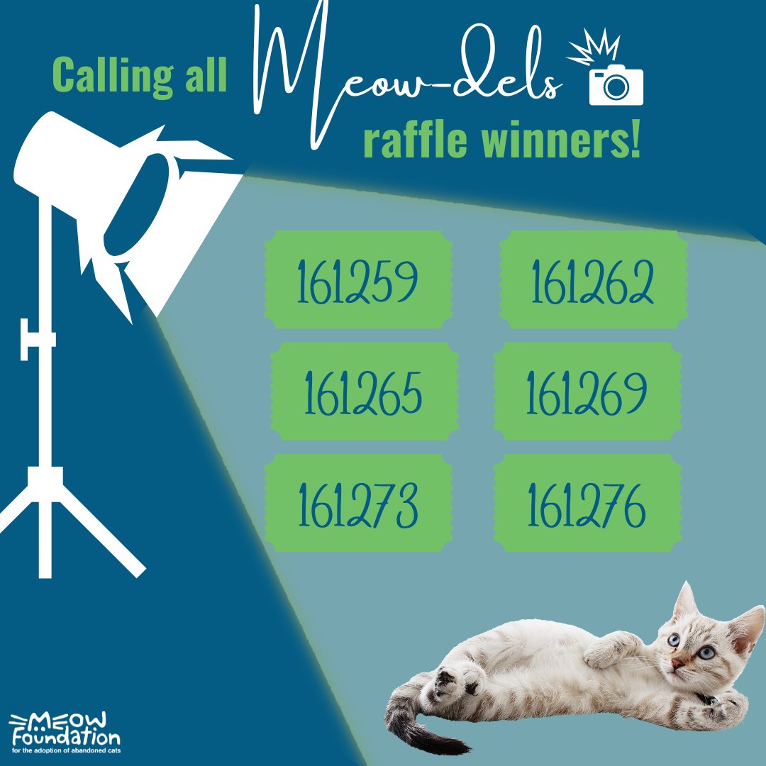 MEOWFoundation's tweet photo. Congratulations to the winners of our Calling all MEOW-dels calendar raffle 🎉 The winners will get an in-home photo shoot for their MEOW cat, with one of those photos being the feature for a month of the 2023 calendar!
#meowfoundation #yyc #catsofyyc https://t.co/SFDOOPI1Ej
