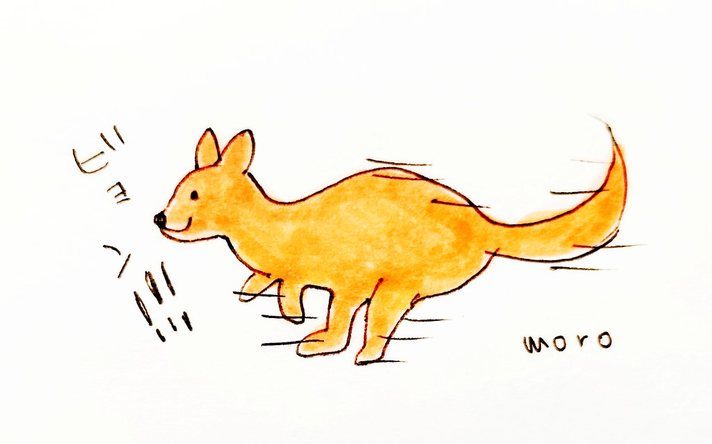 Moro カンガルーの脚力ほしい イラスト 日記 エッセイ 手書き アナログイラスト T Co Brn0txhsfs Twitter