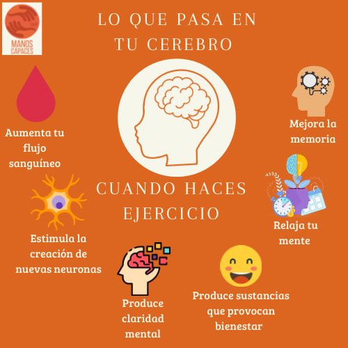 manoscapacesIAP's tweet photo. El cerebro es el órgano más importante de nuestro cuerpo, existen muchas formas de cuidarlo y procurarlo https://t.co/ocMsmPWniD