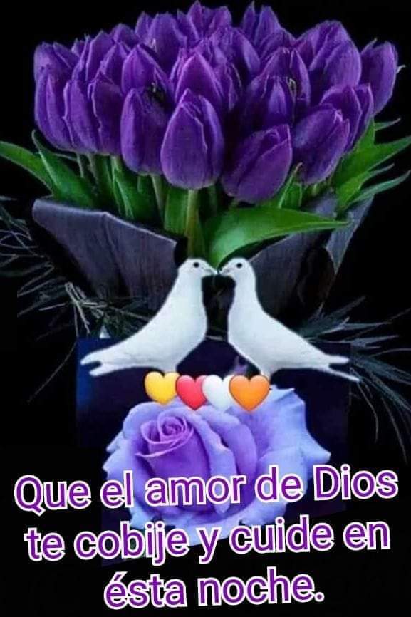 Arcelia González on Twitter: Arcelia González on Twitter: