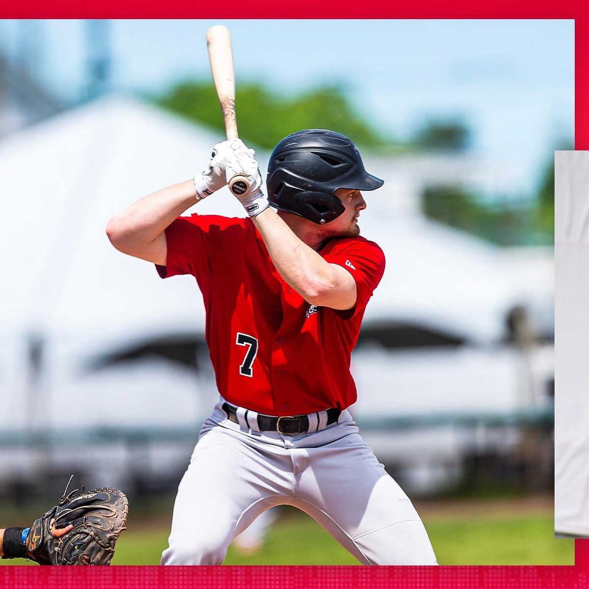 Nashua Silver Knights ⚔️🛡⚾️ tweet media