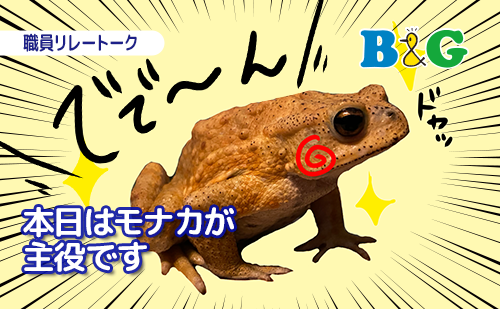 ミヤコヒキガエルのtwitterイラスト検索結果 ミヤコヒキガエルのtwitterイラスト検索結果