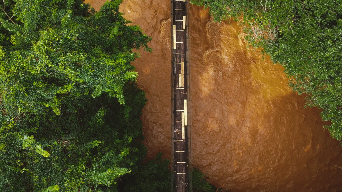 itsmicahc's tweet photo. "Raging rivers", now available on @thegalleriaio  

Click here to read the full story about this piece 👇

https://t.co/Z9FVKcZSEz https://t.co/IrVtrZ1XF4