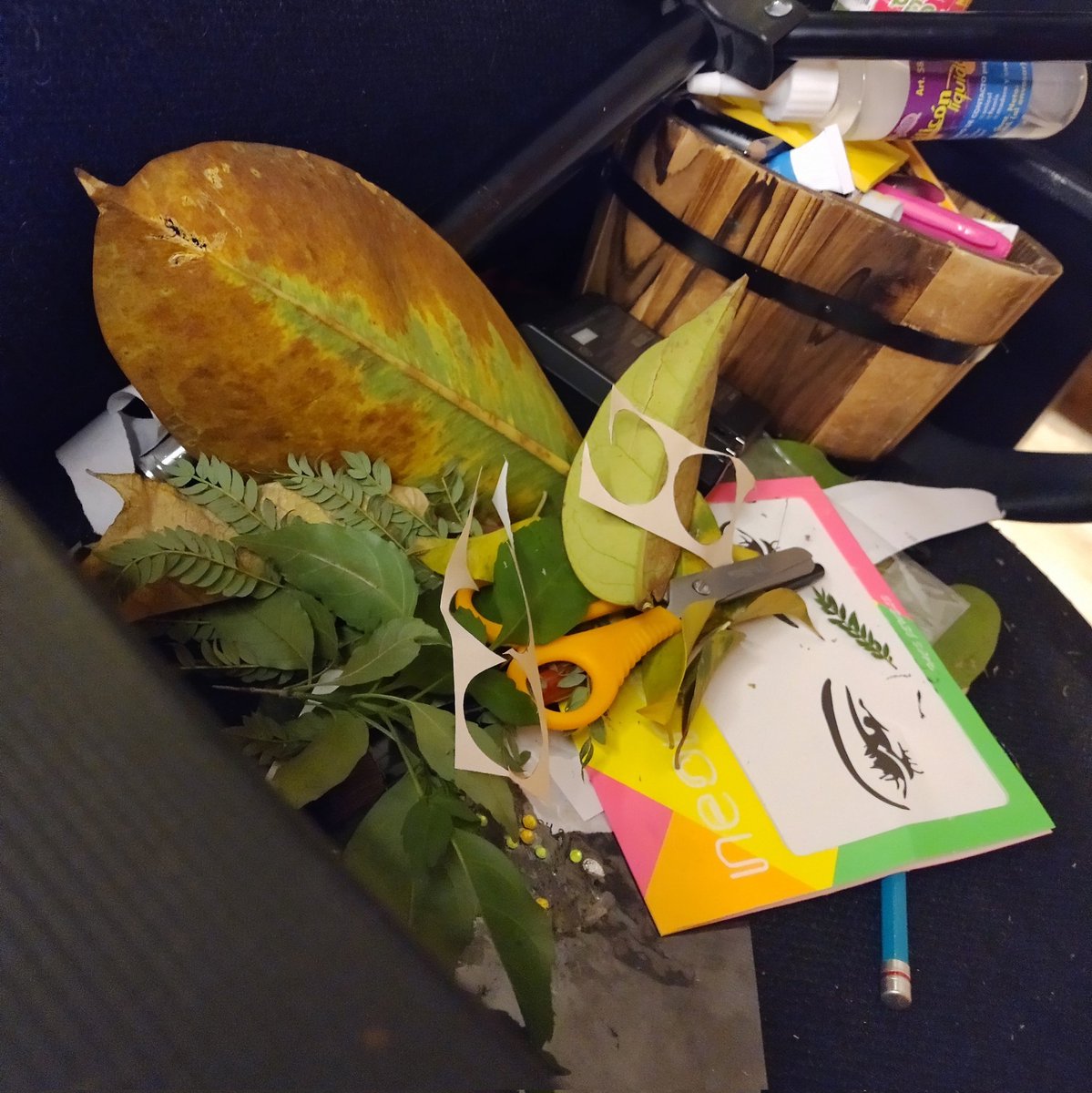 Arcarim1's tweet photo. If everytime I stream with a camara I'm going to have a disaster 
That's fun and all 
But i think i ate a leave this time... https://t.co/CaJUw3ILrw