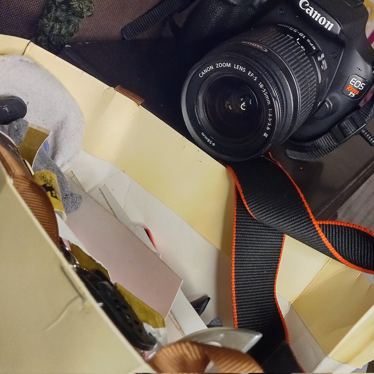 Arcarim1's tweet photo. If everytime I stream with a camara I'm going to have a disaster 
That's fun and all 
But i think i ate a leave this time... https://t.co/CaJUw3ILrw