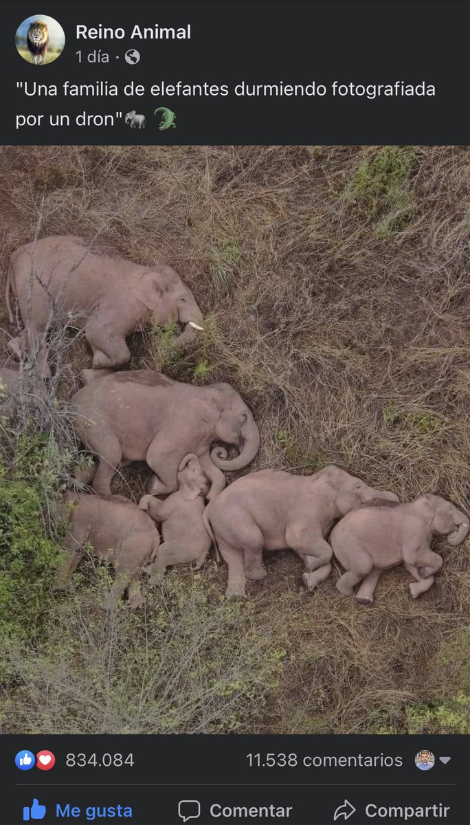 hugo_david1's tweet photo. https://t.co/pprmcP9iba