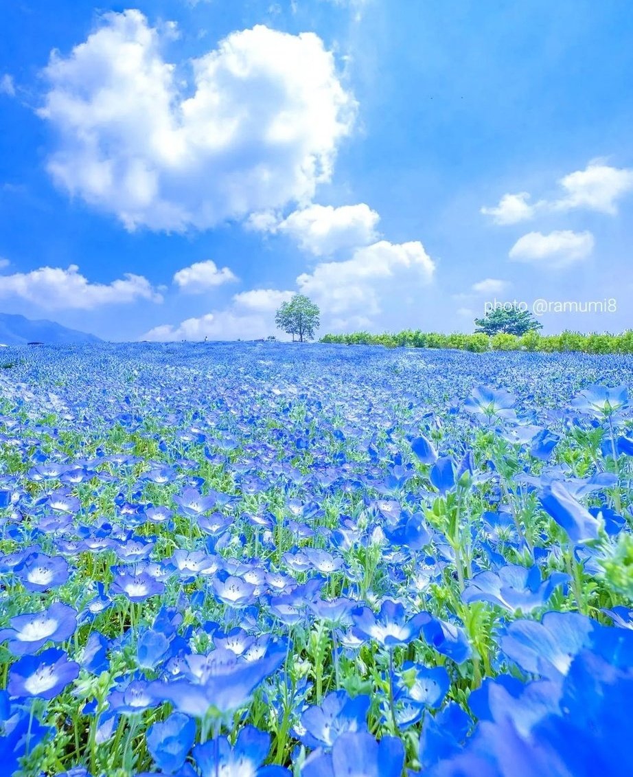 Good morning 💙🤍💙