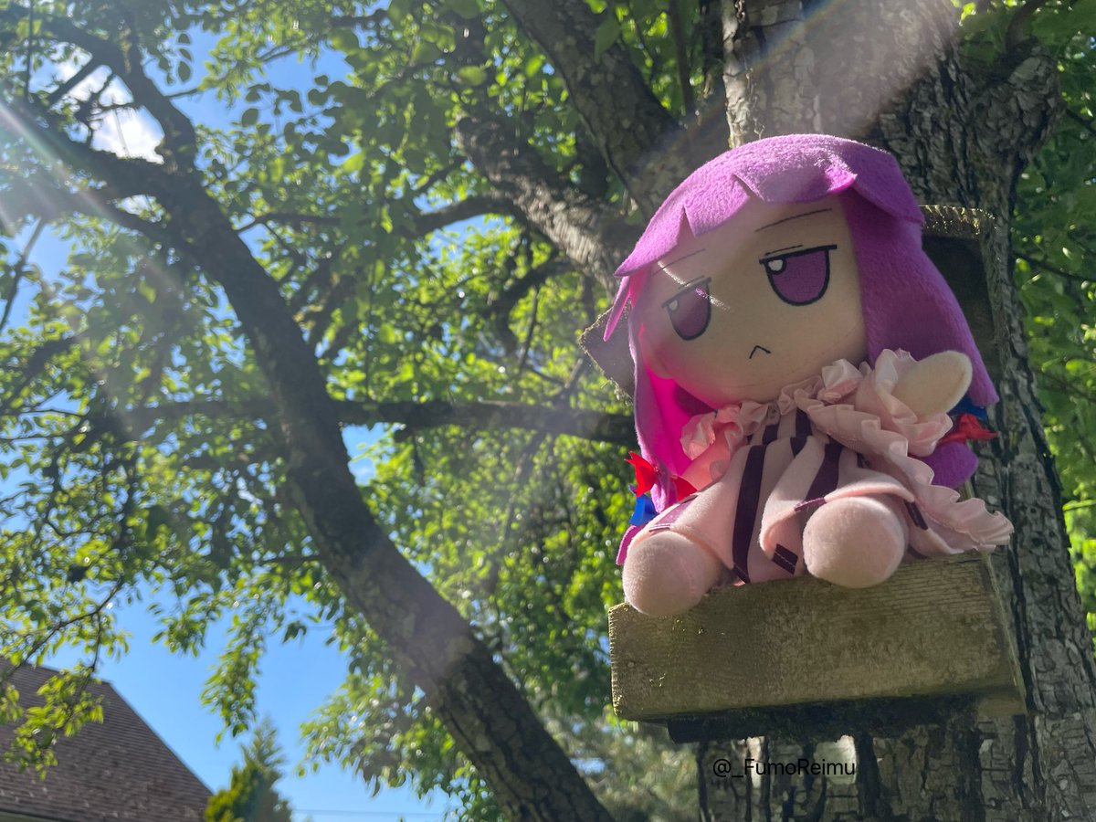 _FumoReimu's tweet image. Patchouli gets an unexpected visitor.. @FumoMarisa #東方Project #ふもふも
