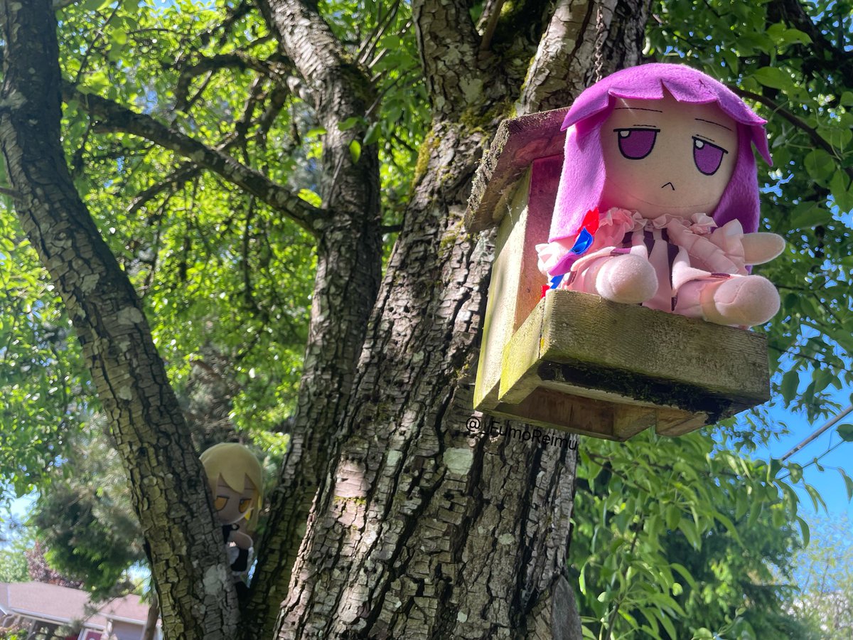 _FumoReimu's tweet image. Patchouli gets an unexpected visitor.. @FumoMarisa #東方Project #ふもふも