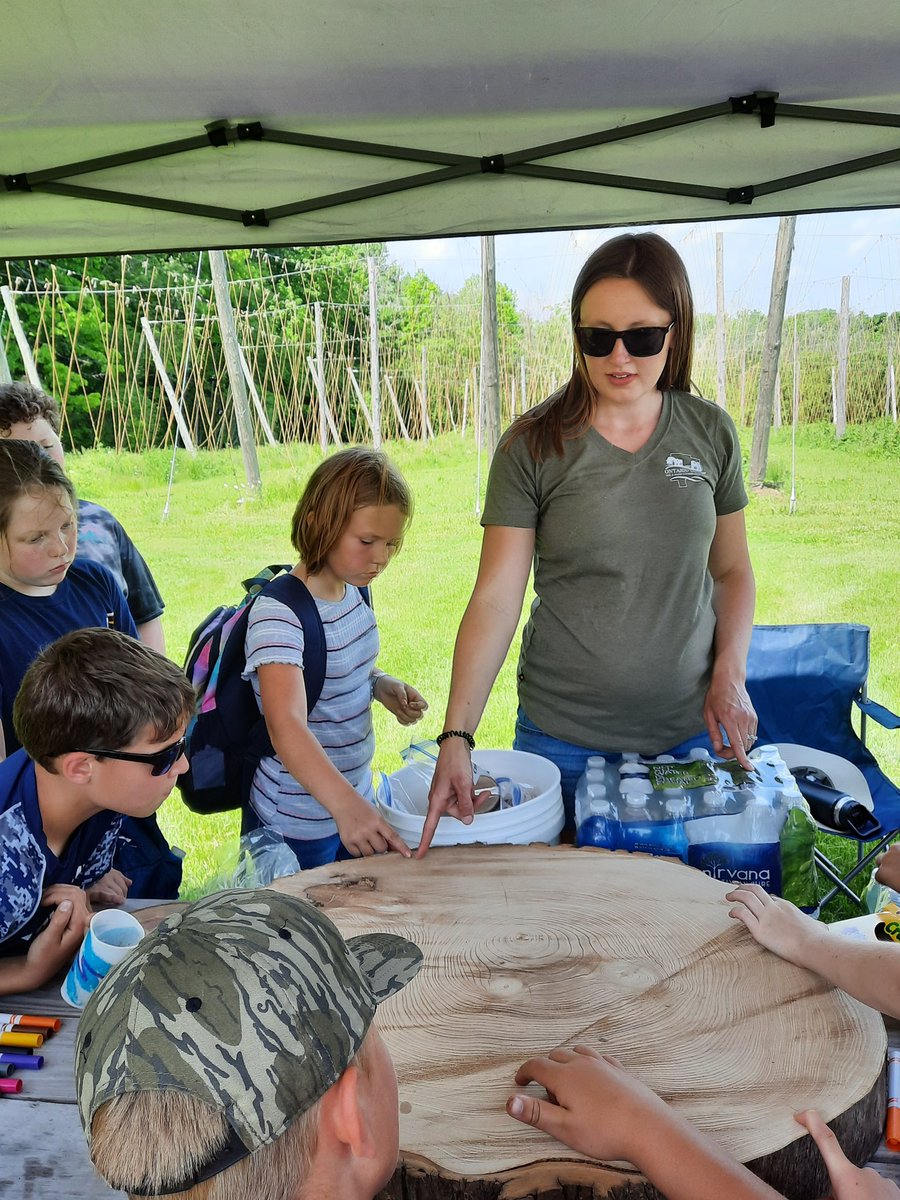 Mrs. Hey's 5th Grade tweet media