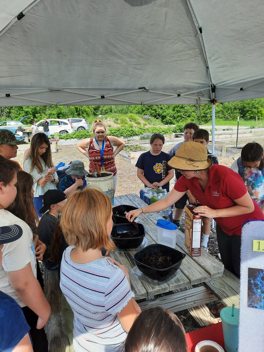 Mrs. Hey's 5th Grade tweet media