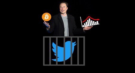 Since the year is almost over the Wingspan will post two articles a day! Today look get a deeper looking into Elon Musk buying Twitter and why “Fantastic Beasts: The Secrets of Dumbledore” is a fantastic experience for classic Harry Potter fans. #readthis #elonmusk #harrypotter