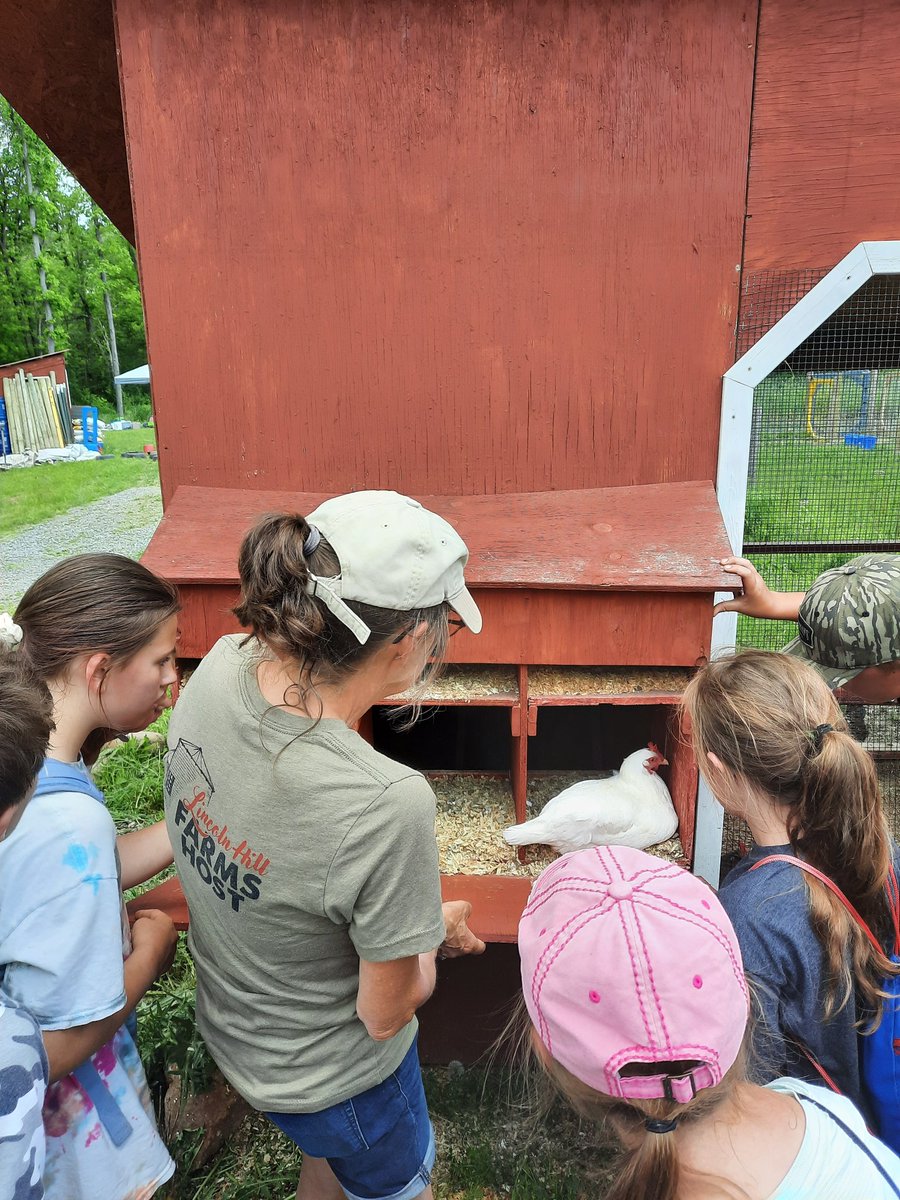 Mrs. Hey's 5th Grade tweet media