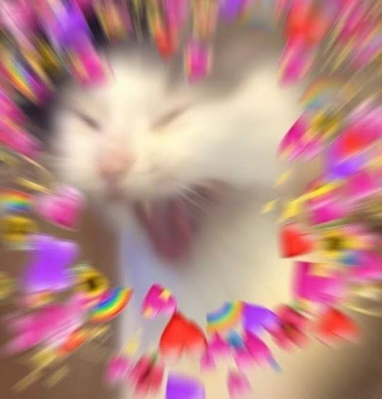 xpelliarmus_'s tweet photo. @slythpufferin JUNE 3rd!!!!! https://t.co/RLwPaPItsX