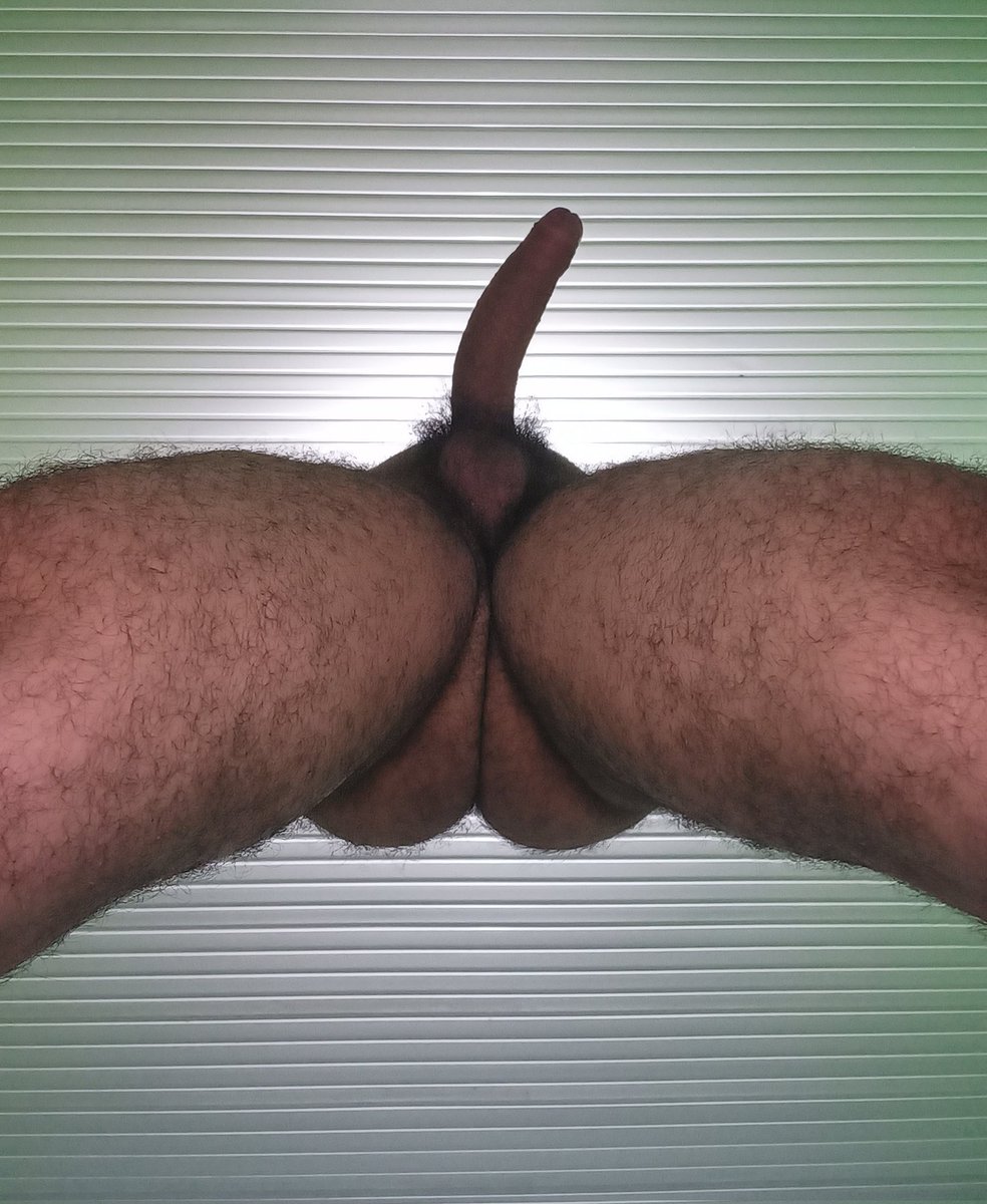 A N D R É S🐺 tweet media