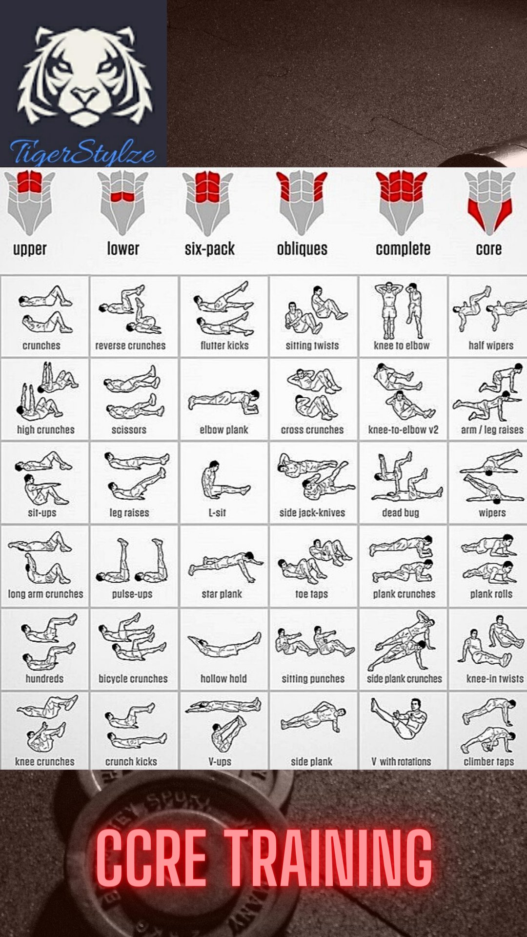 Ab workouts for different areas hotsell