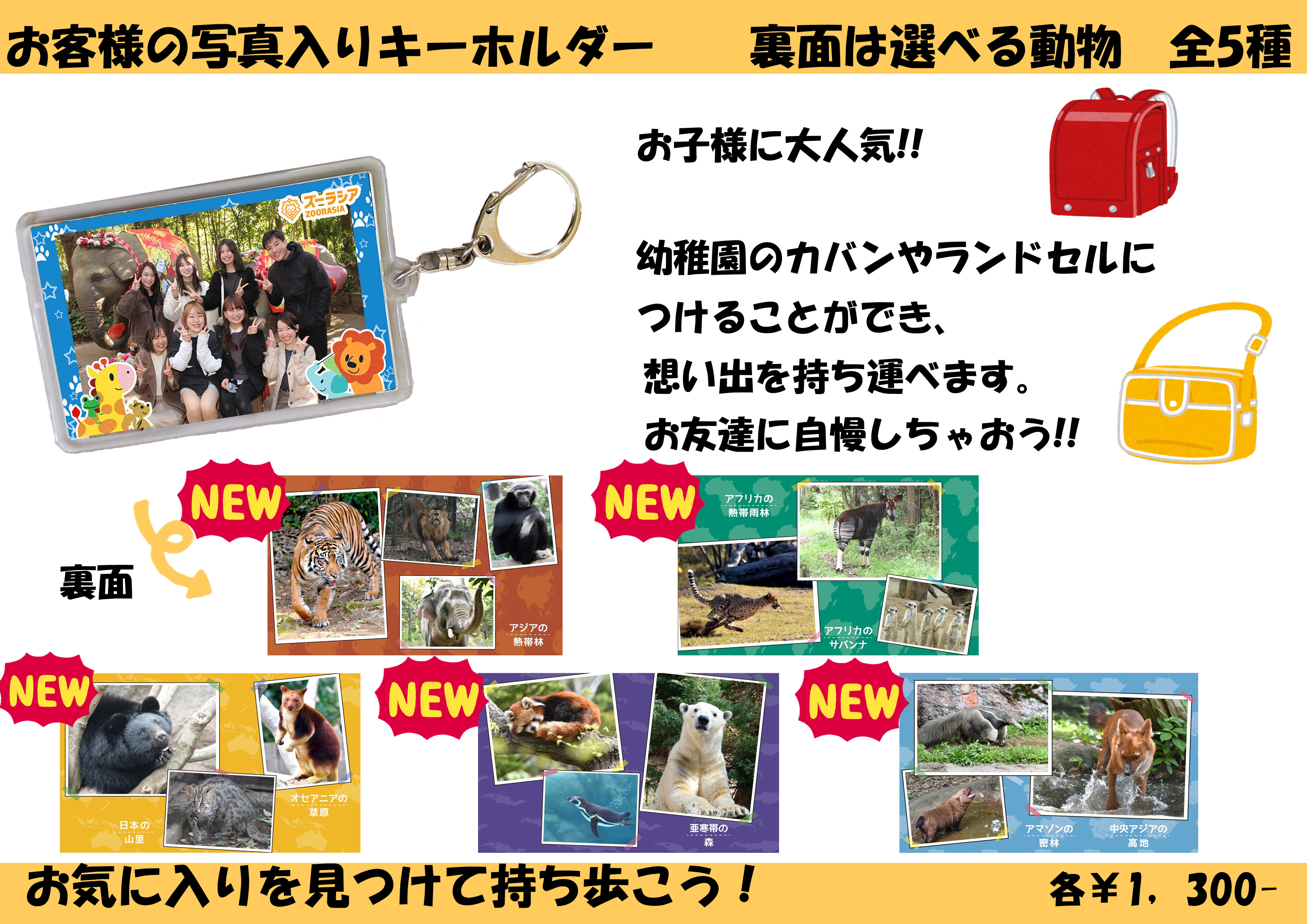 公式】横浜市立よこはま動物園 ズーラシア on X: 