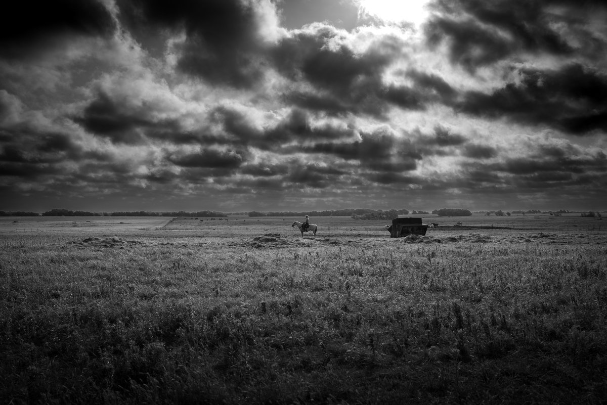 I've had my head down lately with new work and my time on Twitter has suffered, but I wanted to share this one. It's what I'll dream about when I close my eyes tonight...

GN 🌙

#blackandwhitephotography #BigSky #wideopenspaces #leica #leicaq2