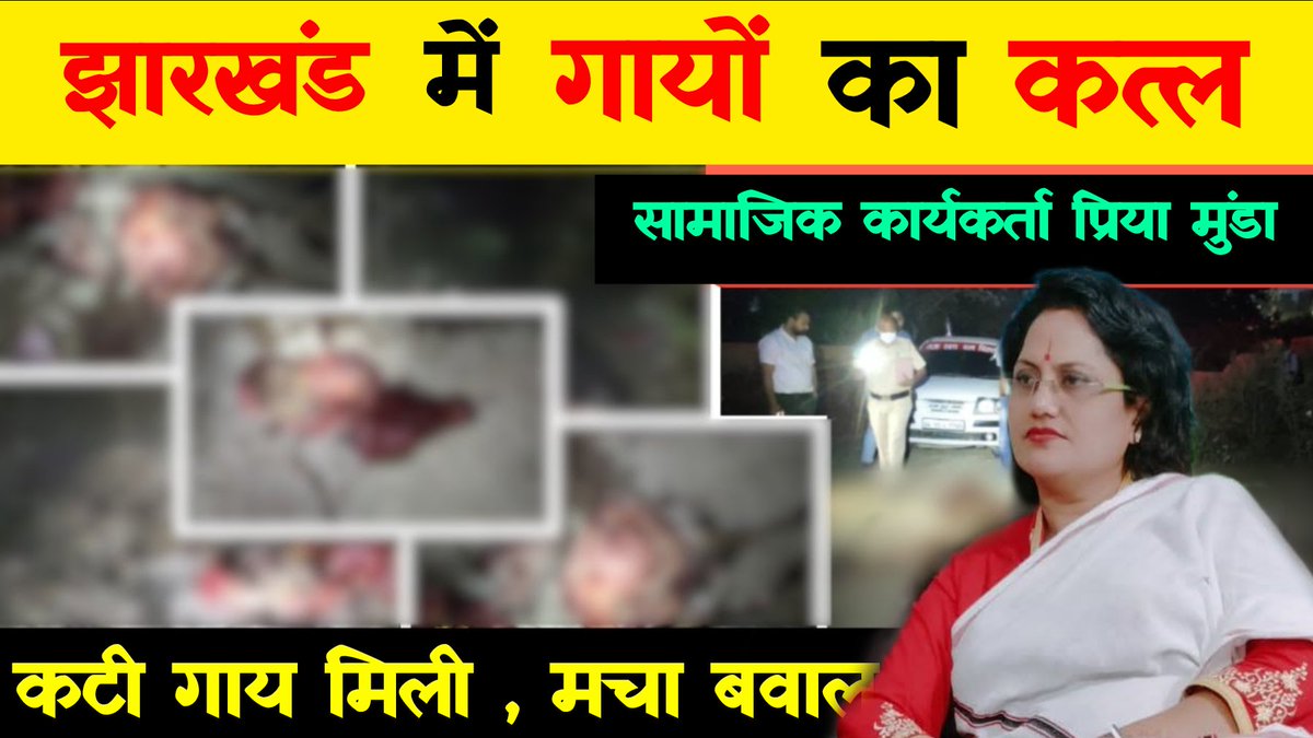 priyamunda_jh's tweet photo. ईसाई चर्च के अंदर गोहत्या करने लगे हैं | कर्रा स्थित कैथोलिक चर्च में गोहत्या | (फादर) के स्वागत के लिए चर्च के अंदर गोहत्या। स्थानीय लोगो का कहना है कि कैथोलिक चर्च के लोग हिंदुओं के विरुद्ध कार्य कर रहे हैं। 29 मई को गोमांस के रूप मे प्रसाद देने के लिए गौ हत्या हत्या की गई थीं। https://t.co/imqDYOAzox