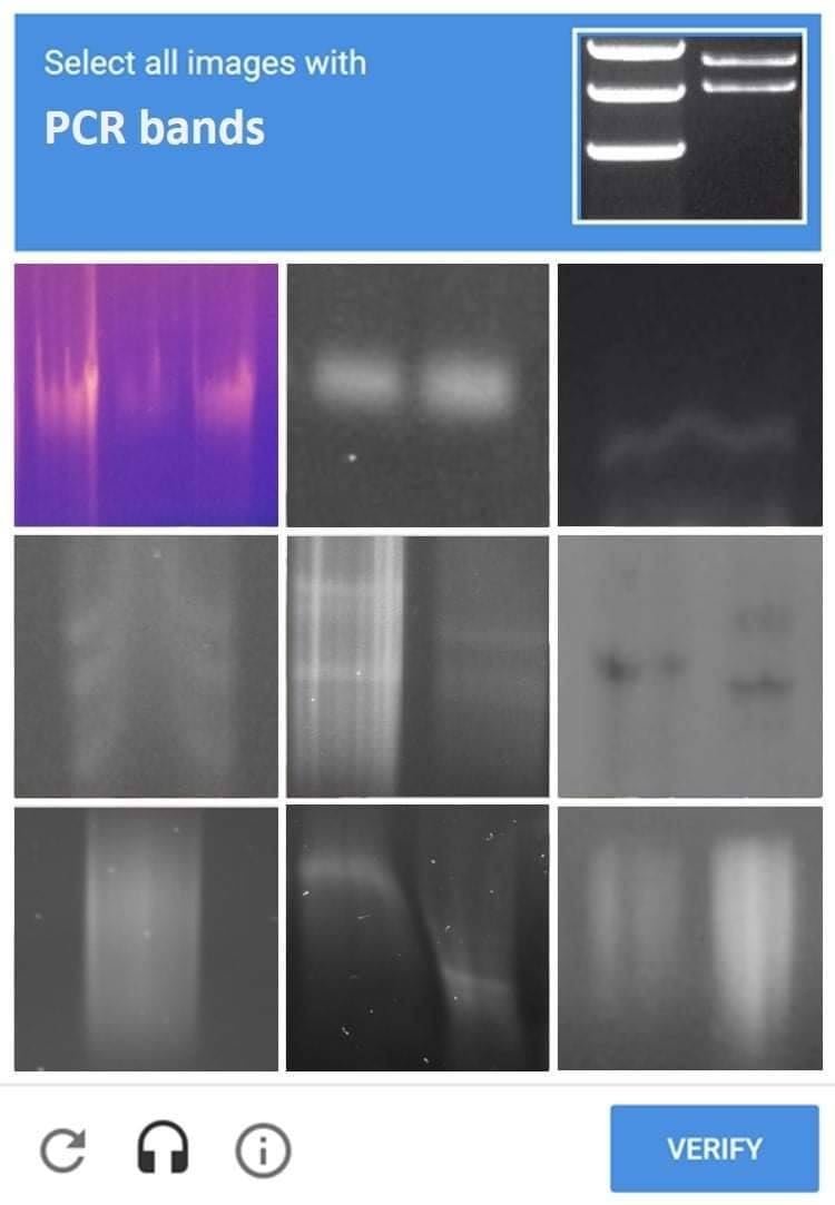 This one is also quite funny