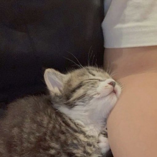 renjun_cat's tweet photo. #RENJUN #런쥔 #renjun_cat https://t.co/cV9vrVYvlc