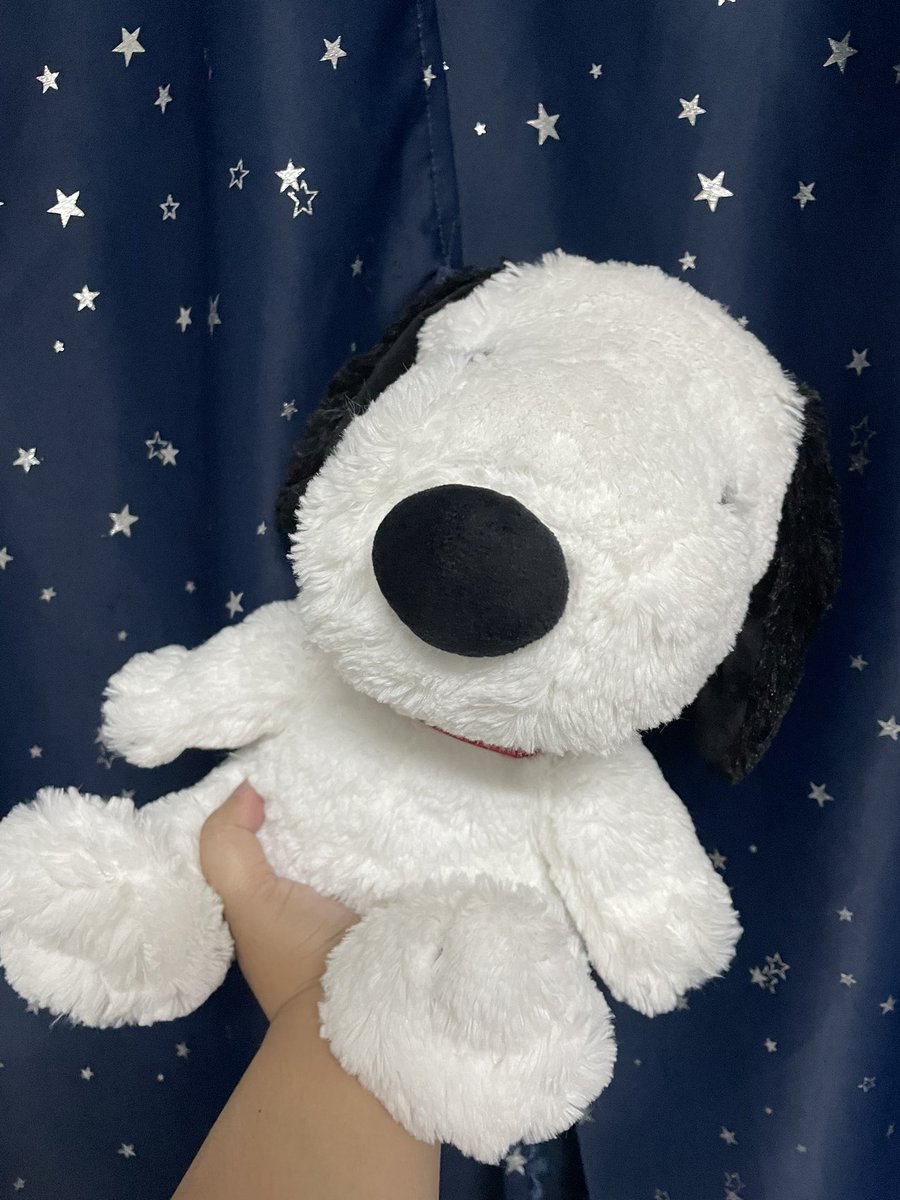 dollycapp's tweet photo. เปิดร้านตุ๊กตาญี่ปุ่นมือสองคร้าบบบ🎉🎉สุ่มแจกตุ๊กตา Snoopy น้องน่ารักนุ่มนิ่มมาก            เฉพาะคนกด follow และรีทวิต 🥰 เราจะดำเนินการสุ่มแตกในวันที่ 5 มิ.ย. นี้ค่ะ #ตลาดนัดตุ๊กตา #ตุ๊กตามือสอง #ตุ๊กตาญี่ปุ่นมือสอง https://t.co/82MUJWLuxN