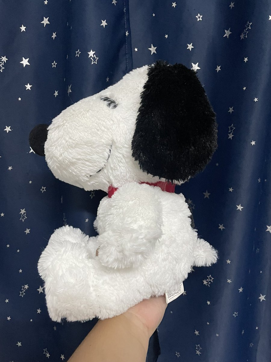 dollycapp's tweet photo. เปิดร้านตุ๊กตาญี่ปุ่นมือสองคร้าบบบ🎉🎉สุ่มแจกตุ๊กตา Snoopy น้องน่ารักนุ่มนิ่มมาก            เฉพาะคนกด follow และรีทวิต 🥰 เราจะดำเนินการสุ่มแตกในวันที่ 5 มิ.ย. นี้ค่ะ #ตลาดนัดตุ๊กตา #ตุ๊กตามือสอง #ตุ๊กตาญี่ปุ่นมือสอง https://t.co/82MUJWLuxN