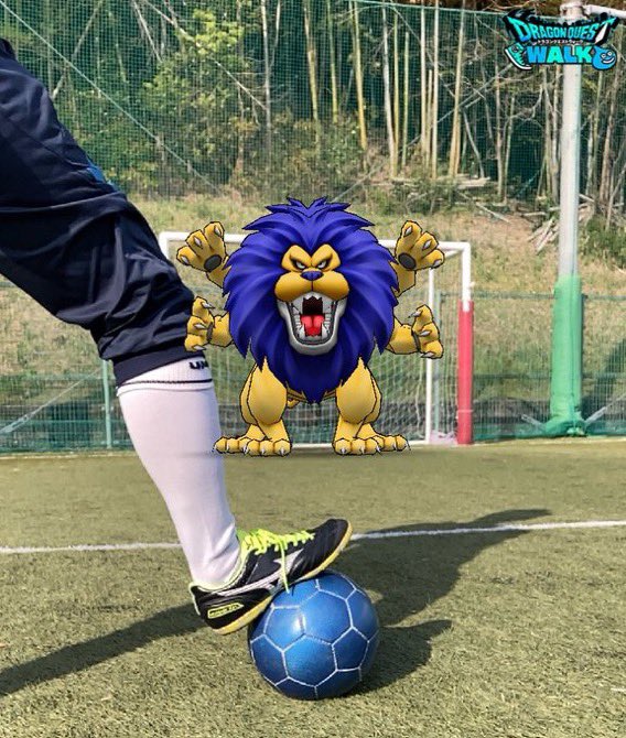 doraque_8's tweet photo. どっちも入る気がしない⚽️

#かいしんの一枚 #DQウォークフォトコン https://t.co/0zVH8T8RKv