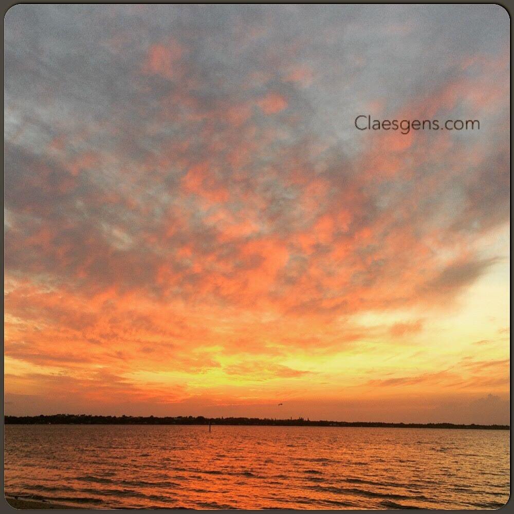 FloScope's tweet photo. https://t.co/DW6QeffylJ a project for and about humankind, Humanity, Love, Joy, and the magnificent world we live in…
Will be broadcasting again soon, stay tuned!
@SeanClaesgens
@FloScope
@Florida
#liveinteractive
#joy #love #humanity #Magnificent #Humankind #floscoper https://t.co/cypZwnq6SI