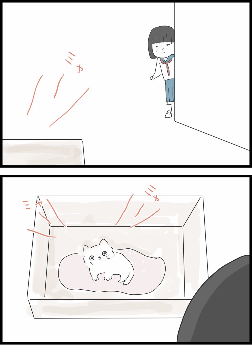 【27】いじめられていた私がネコとの出会いで人生が変わった話 